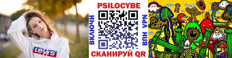 Псилоцибиновые грибы Cubensis  Кандалакша 